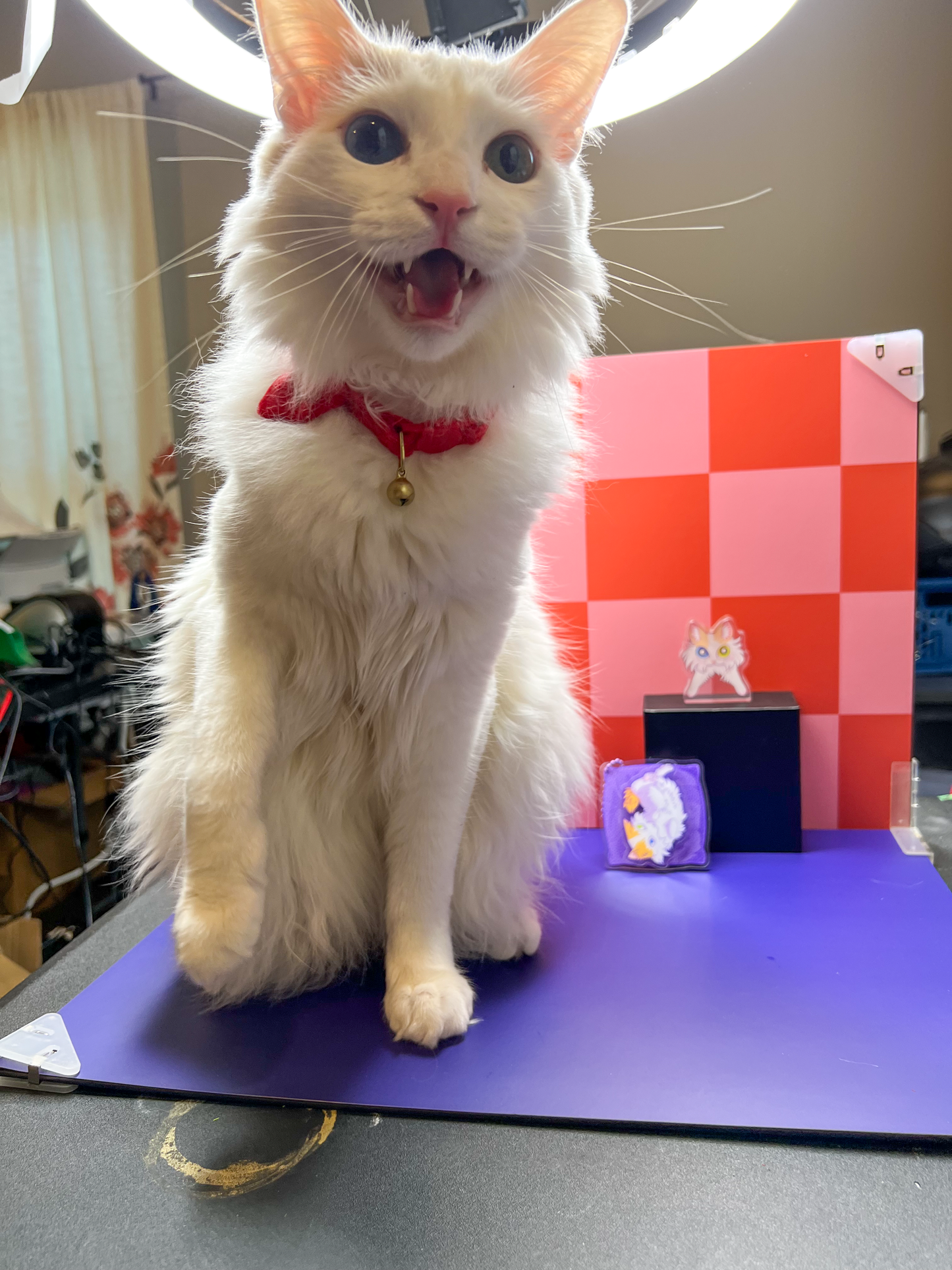 Turnip (Cat) Standee