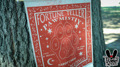 Fortune Teller Pawmistry Hanging Tapestry