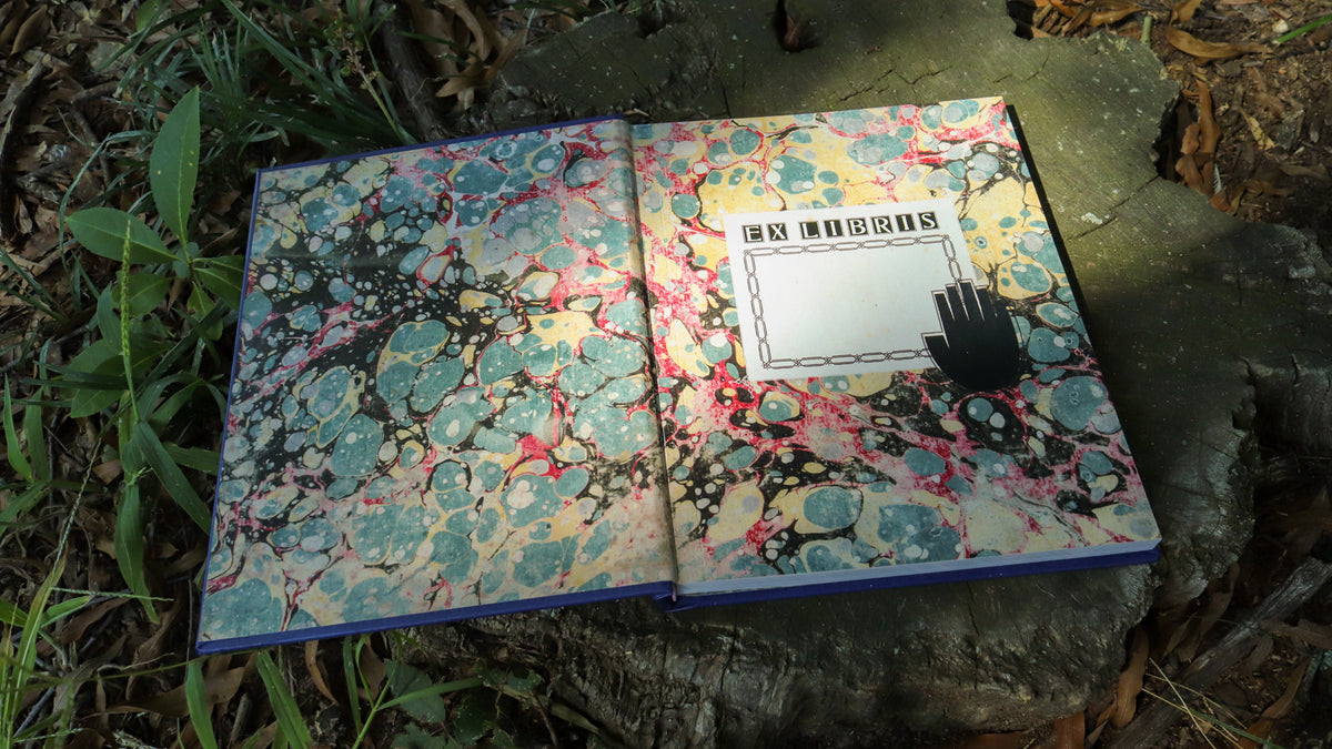 Reading Between the Falls - A Gravity Falls Nonfiction Zine (Physical)
