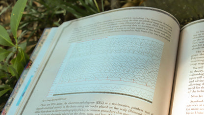 Reading Between the Falls - A Gravity Falls Nonfiction Zine (Physical)